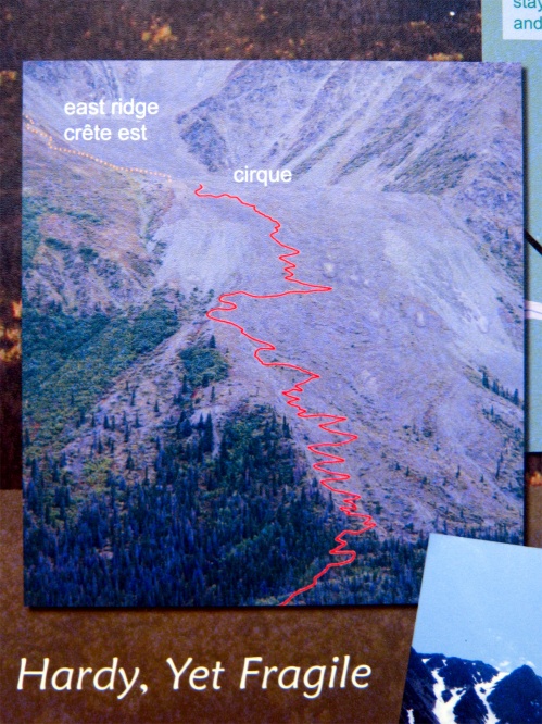 King's Throne Trail Map